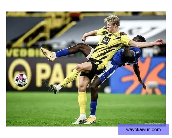 沙尔克04展现出色攻防平衡，迎来新赛季强劲动力表现稳健