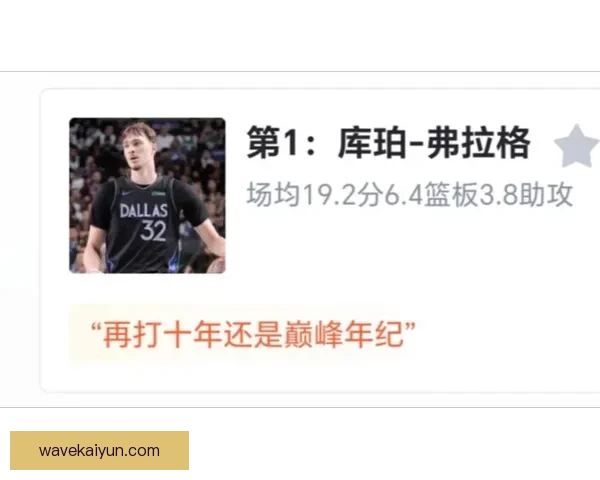 新赛季新秀榜表现分析，年轻球员竞争激烈引人关注